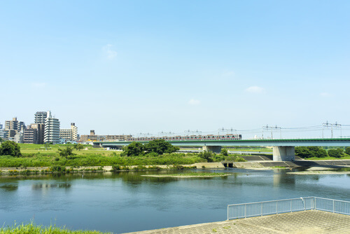 多摩川の写真